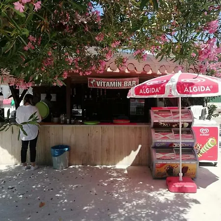 Alevok Erdek
