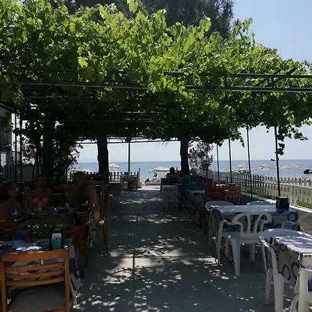 Hotel Alevok 2*